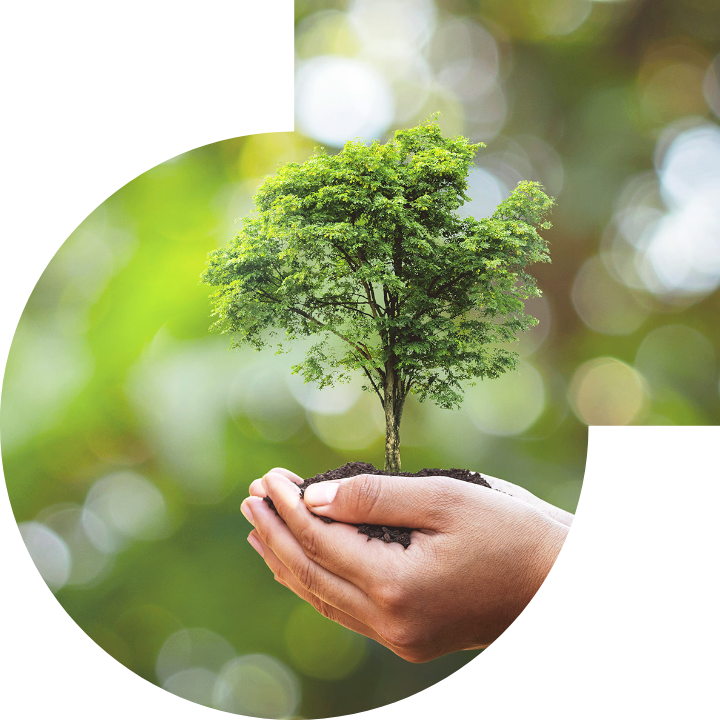 关怀人类、文化、环境与社会